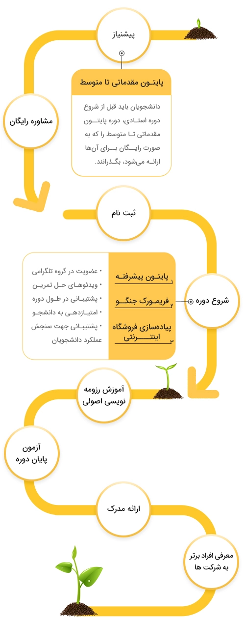 نقشه راه گذراندن دوره استادی پایتون